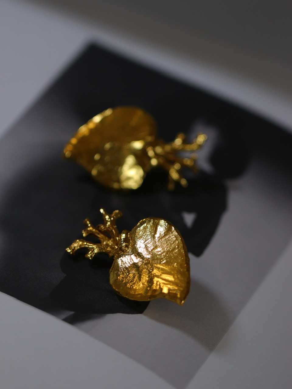 「解剖学式/成长的心」心脏·镀金耳环80年代CL（20210215）