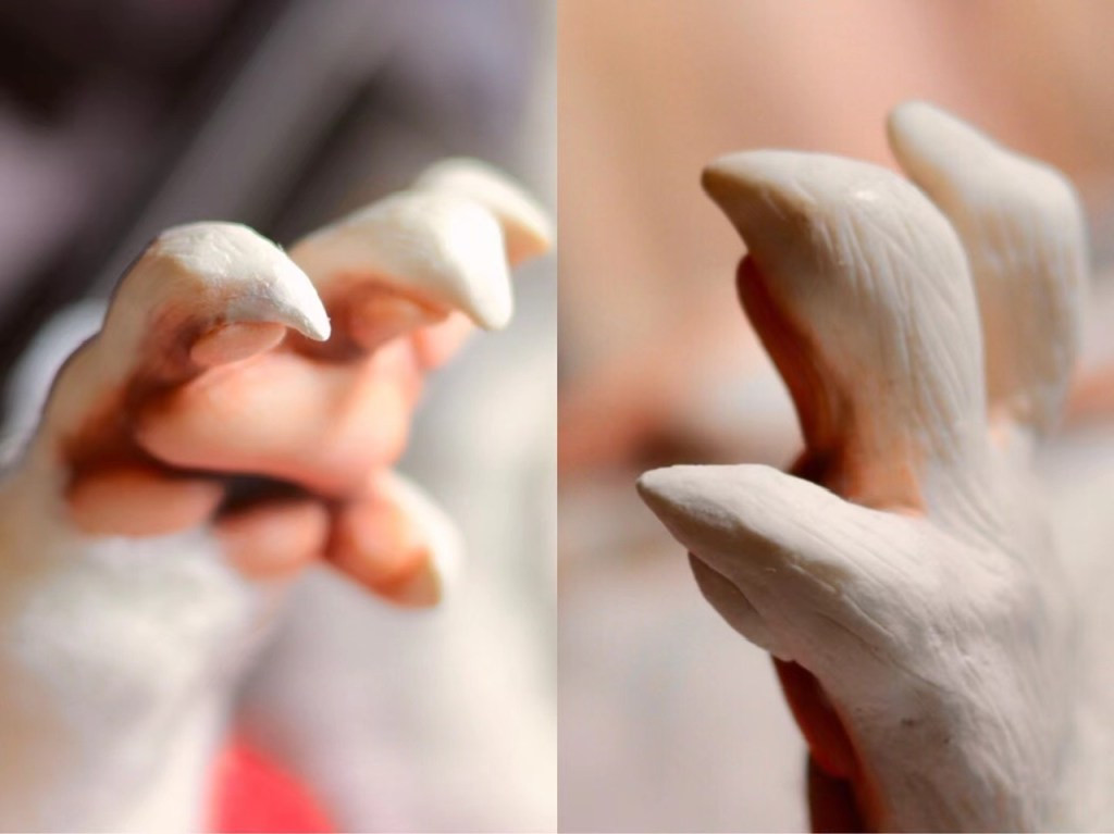 修爪爪（20220429）