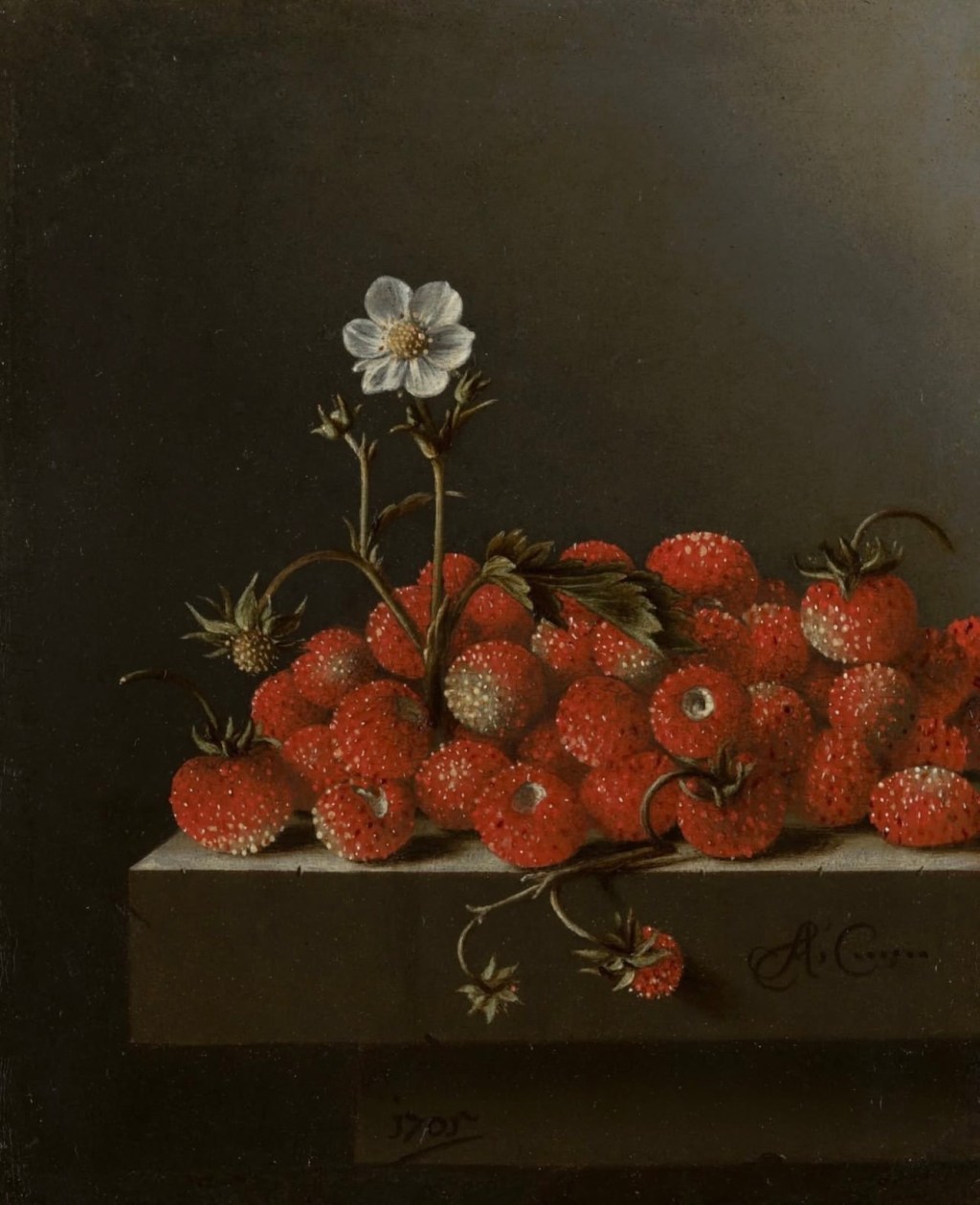纯粹且随性，谦逊亦知足｜野草莓的静谧之美，Still Life with Wild Strawberries (1705, Adriaen Coorte)（《野草莓静物》）｜00002