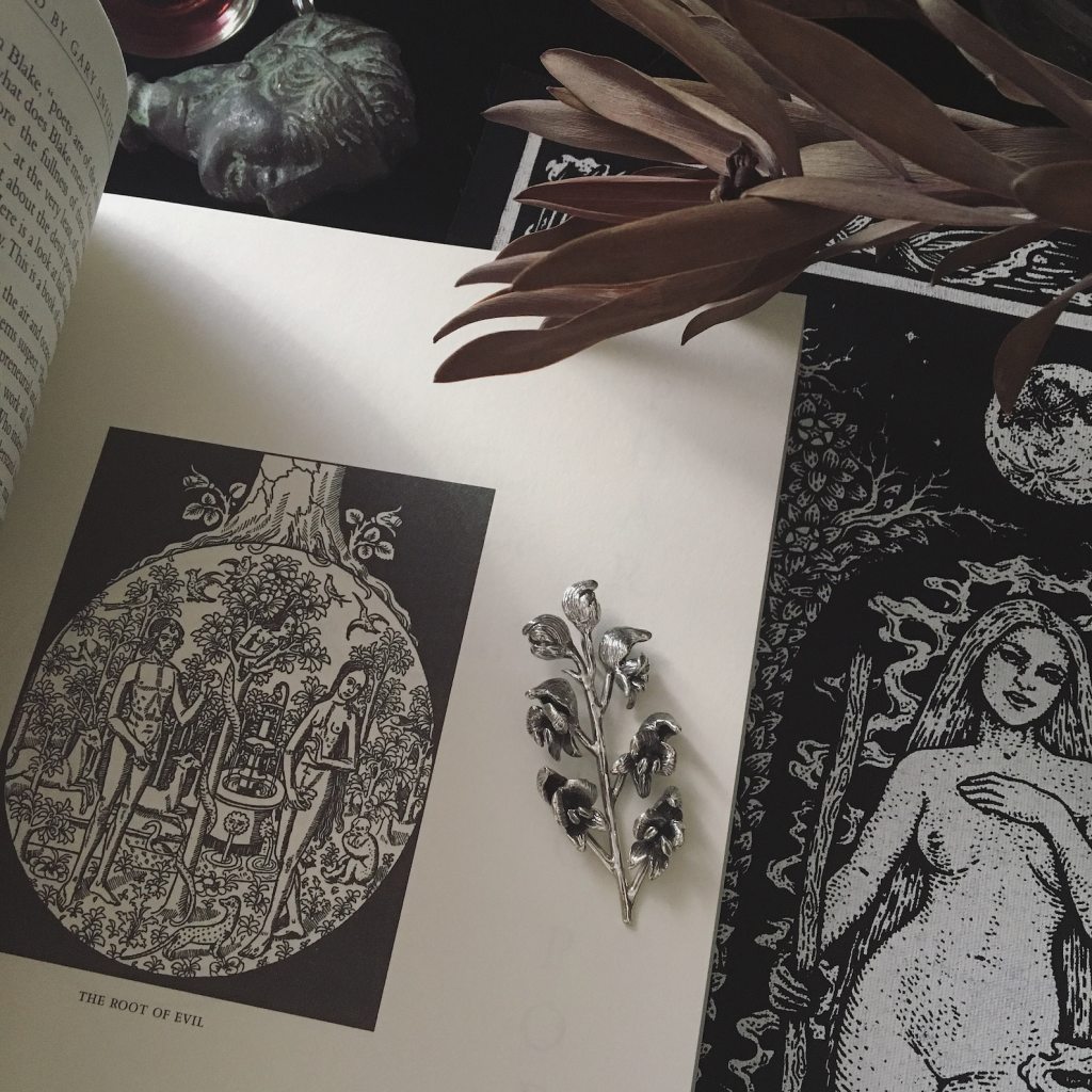 ②.乌头(附子)·”毒植”系列·项坠;土耳其手艺人Göksu作品;造型取自乌头花(monkshood),乌头被称为“毒药之后”,自古与死亡、变形与冥界意象相连,带有强烈的神秘与转化意味。其名称亦衍生出“狼毒(wolfsbane)”之称,暗示其在传说中对野兽与异变的影响,常与变形和边界状态相联系。925纯银,约6 × 2.5cm,附银链(40/50/60cm可选)。古老失蜡法,纯手工雕刻制作。(佩戴与保养:避免接触水与化学品,不佩戴时密封保存;金属会随时间形成自然氧化;部分结构较为锋利,佩戴时请留意。)