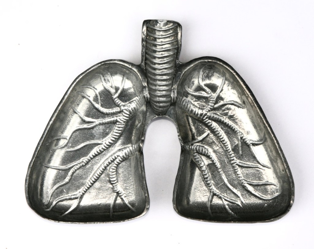 ②.「痕迹的累积…」解剖学式肺形器皿 / 烟灰缸；美国手艺人Anatomology作品；以肺部为形，结构直接而清晰，呈工业感金属色泽。将器官转化为可见的日常之物，可作为烟灰缸使用，亦可用于收纳或陈列。当它被作为烟灰缸使用时，表面的变化会逐渐累积，使原本的形态发生转变，引发思考「关于行为本身，以及它所留下的痕迹」。锌合金铸造；约5英寸（12.7cm)