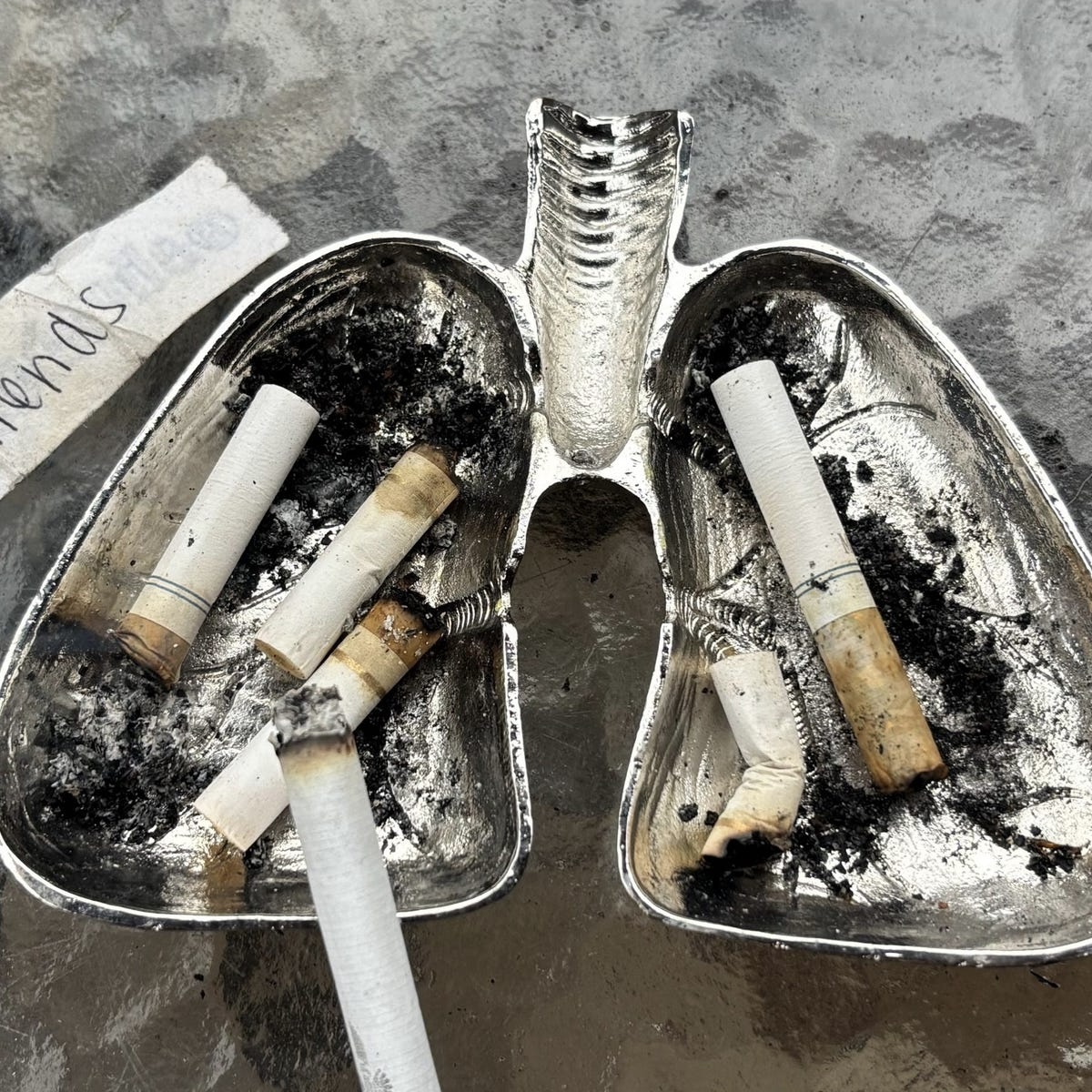 ②.「痕迹的累积…」解剖学式肺形器皿 / 烟灰缸；美国手艺人Anatomology作品；以肺部为形，结构直接而清晰，呈工业感金属色泽。将器官转化为可见的日常之物，可作为烟灰缸使用，亦可用于收纳或陈列。当它被作为烟灰缸使用时，表面的变化会逐渐累积，使原本的形态发生转变，引发思考「关于行为本身，以及它所留下的痕迹」。锌合金铸造；约5英寸（12.7cm)｜x8226