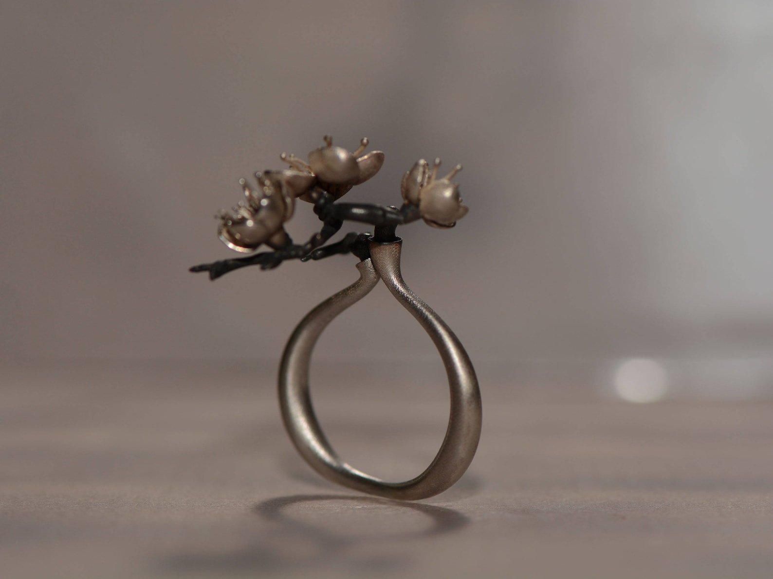 ②.「安生于简静」生け花·花道戒指环；以色列手艺人Irina作品；新艺术+现代主义；指环如弧线在两端靠拢，花枝自两侧插入，呈现出插花般的结构。银色花朵与氧化黑色茎杆形成克制对比，整体简静而平衡。925纯银；定制尺码；提供刻字服务｜x8826